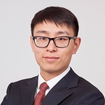 Portrait of the technology lead